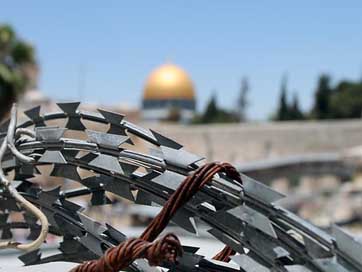 Barbed-Wire Palestine Israel Jerusalem Picture