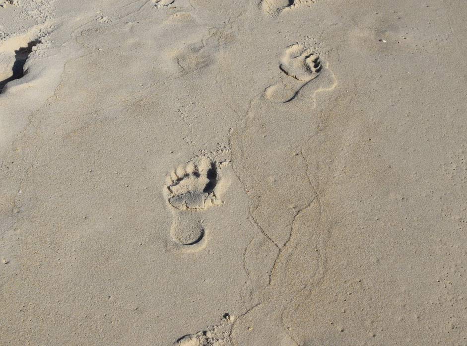 Sand Child Footprints Footprints-In-The-Sand