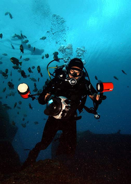 Diver Water Ocean Sea