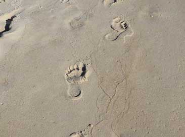 Footprints-In-The-Sand Sand Child Footprints Picture