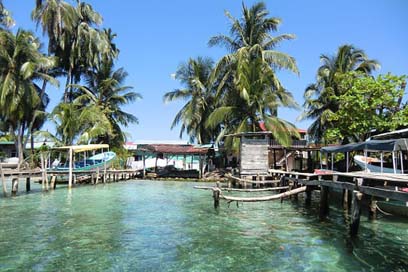 South-America Palm-Trees Sea Panama Picture