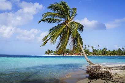 Sand Waters Tropical Beach Picture