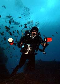 Sea Diver Water Ocean Picture