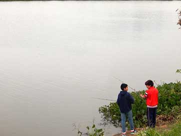Boys Fishery Child Fishing Picture
