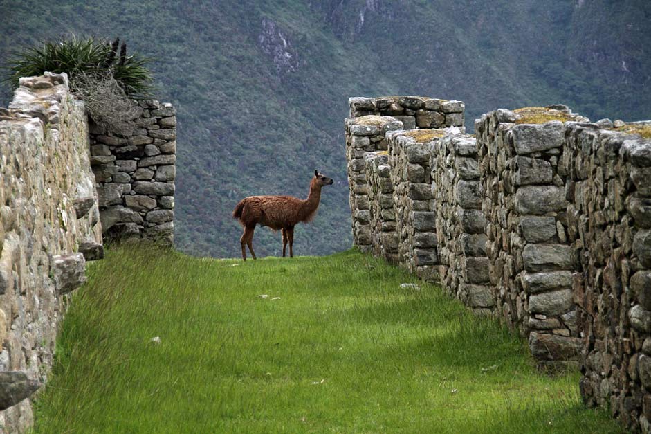 South Inca Peru Machu-Picchu