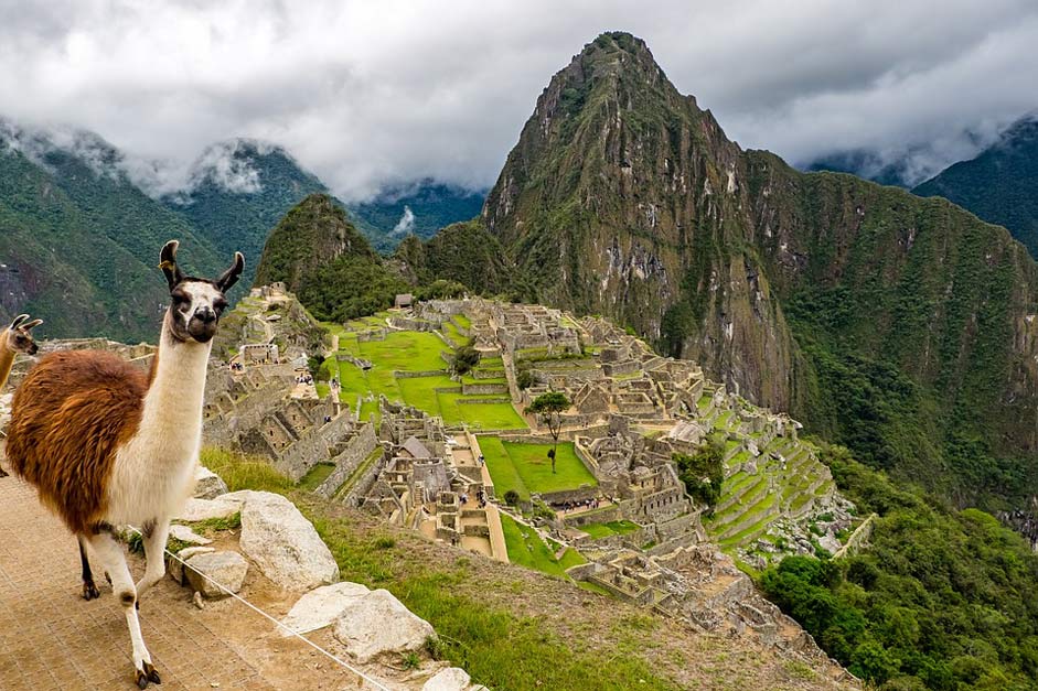 World-Heritage Lama Machu-Picchu Peru