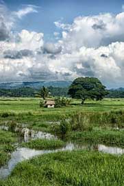 Philippines Hut Scenic Landscape Picture