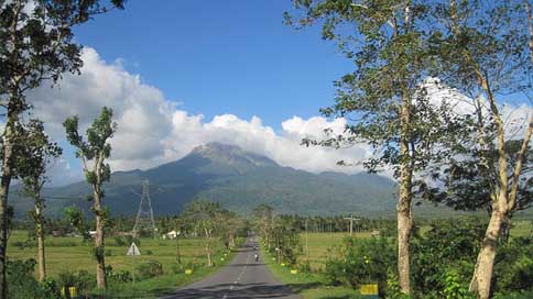 Roads Travel Mount-Bulusan Woods Picture