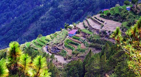 Cardillera Sagada Region Mountain Picture