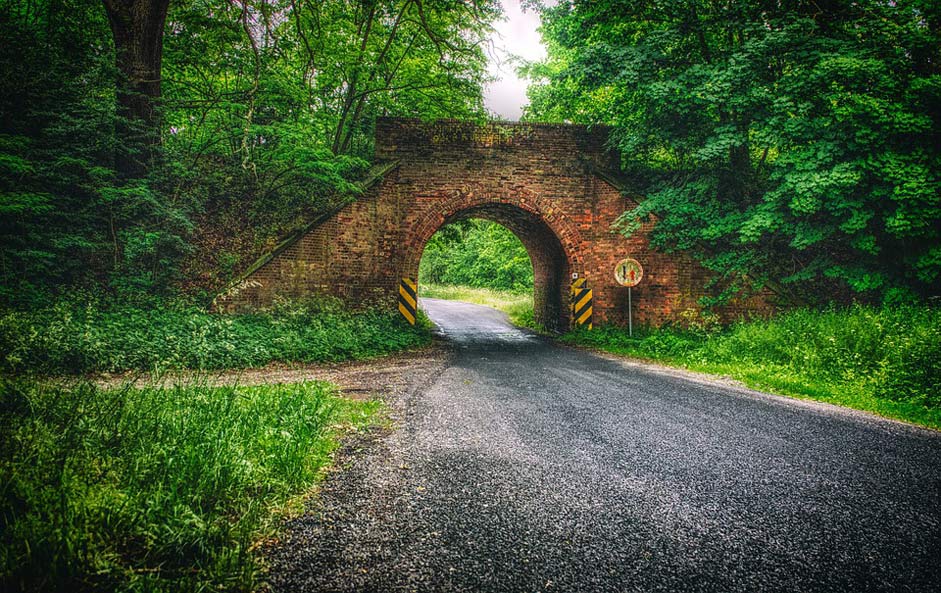 Poland Landscape Nature Bridge