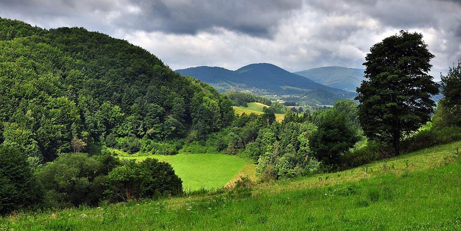 Clouds Meadow Field Landscape