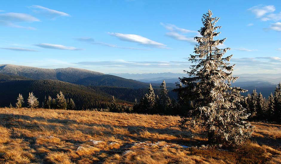 Landscape Rysianka View Mountains