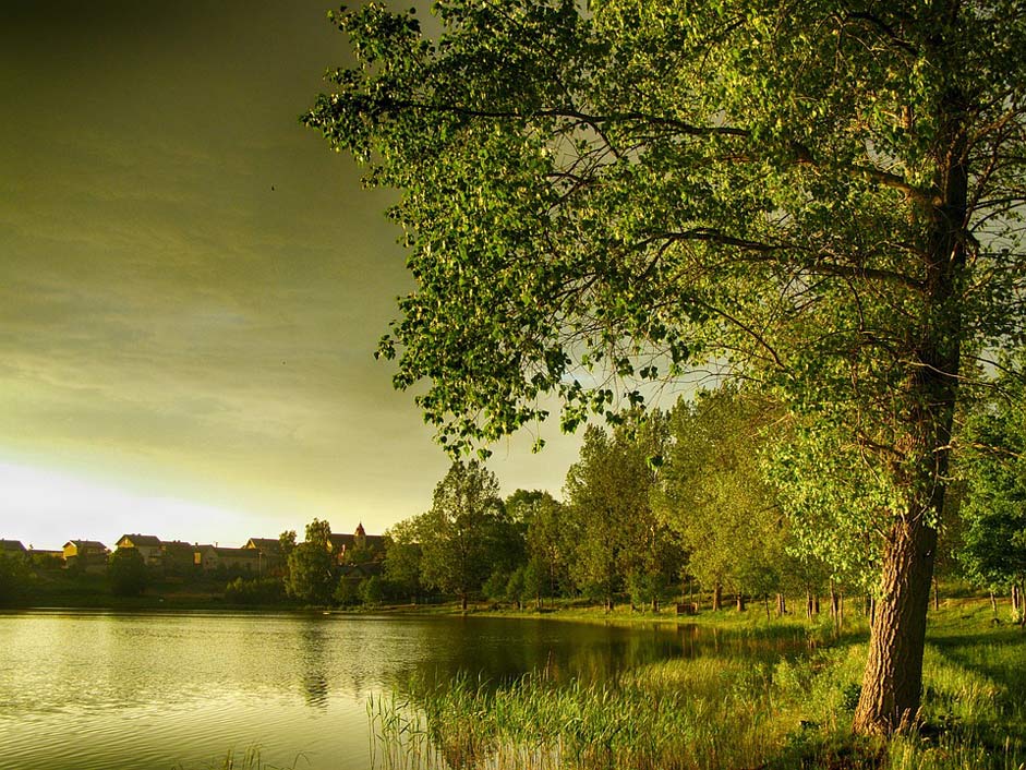 Water Reflections Lake Poland