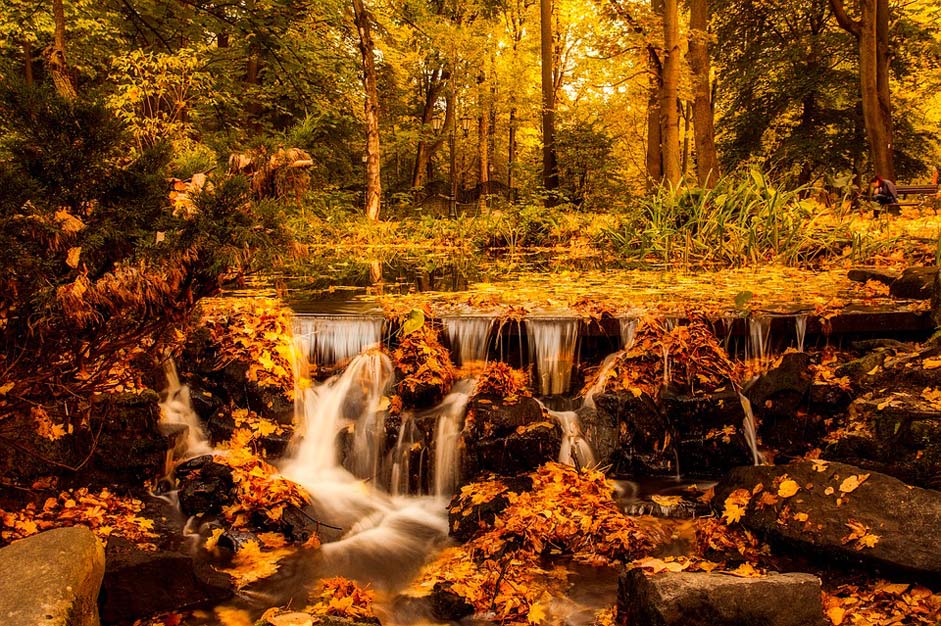 Fall Autumn Landscape Poland