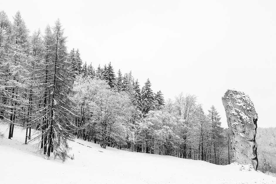 Landscape Snow Winter Poland