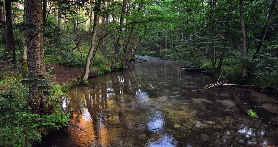 Nature Stream Morning River