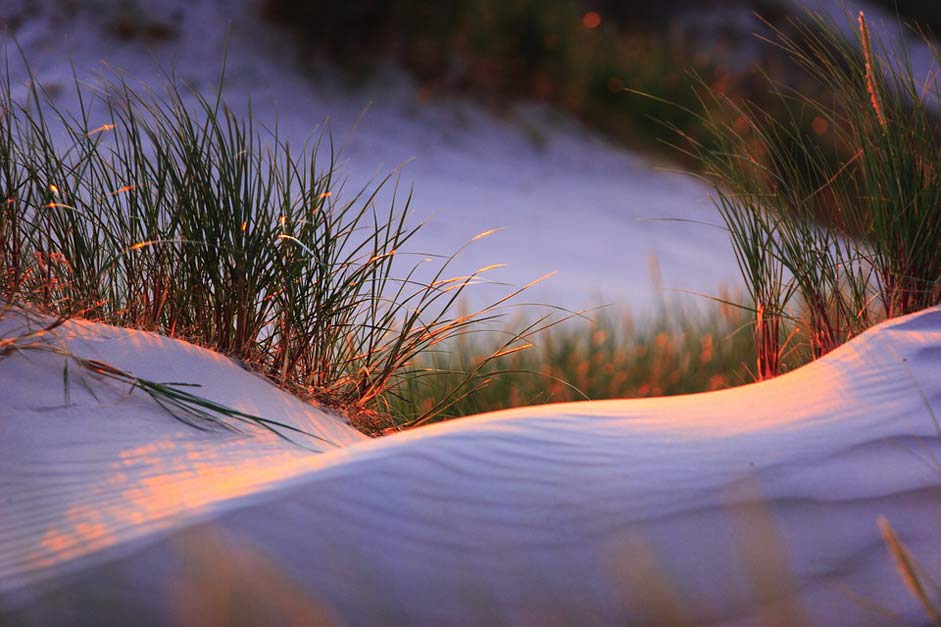  Landscapes Moving-Dunes Slowinski-National-Park