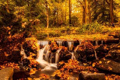 Poland Fall Autumn Landscape Picture