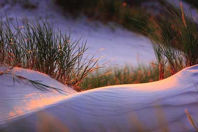 Slowinski-National-Park  Landscapes Moving-Dunes Picture