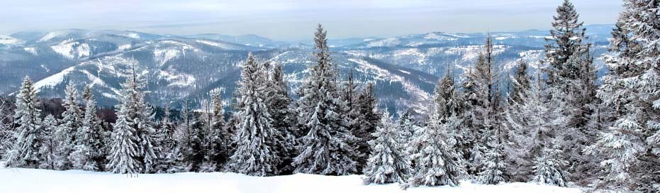 Winter Mountains Snow Landscape Picture
