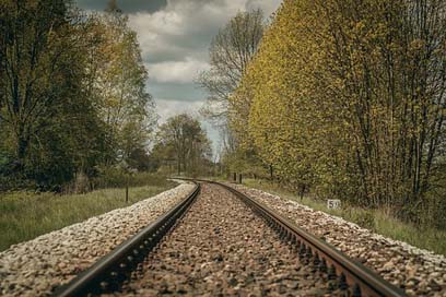 Tracks Transport Traction Tree Picture