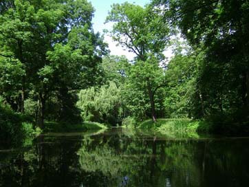 Warsaw Forest Park Poland Picture