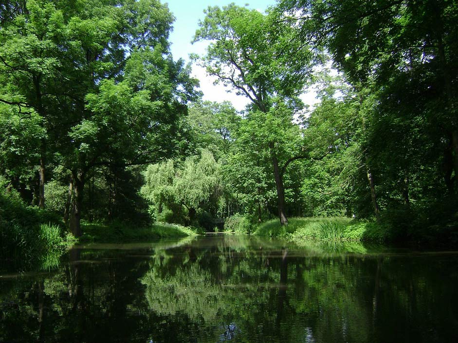 Forest Park Poland Warsaw