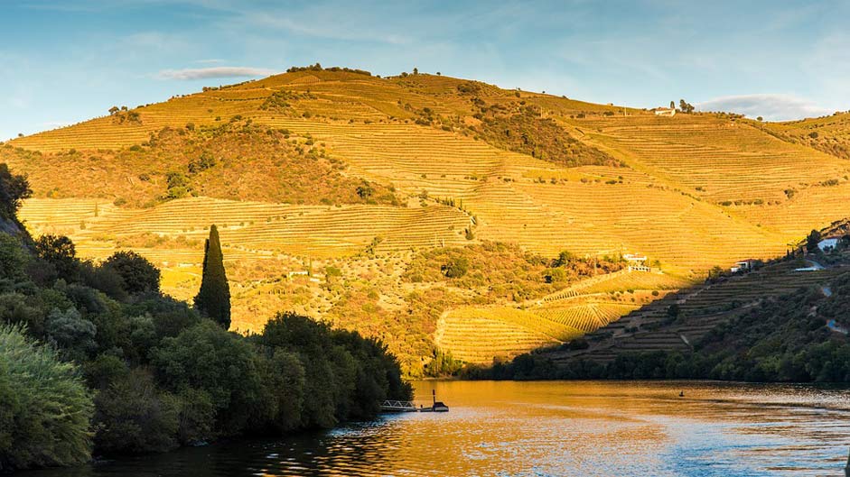 Travel Portugal River Douro