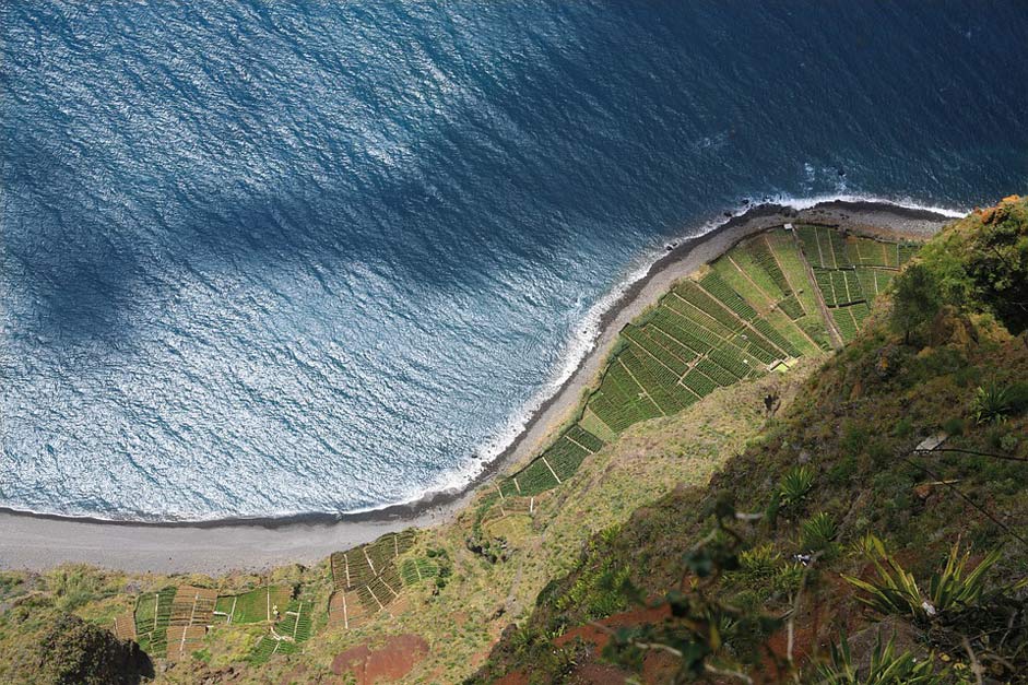 Cliffs Cliff Portugal Madeira