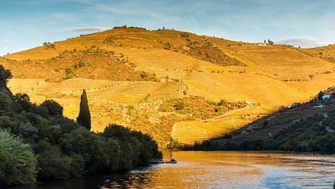Douro Travel Portugal River Picture