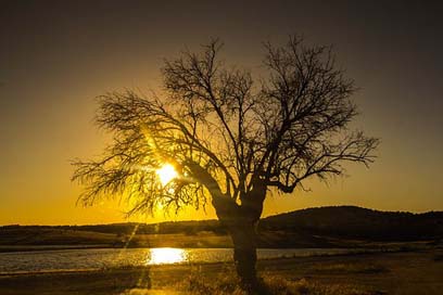 Sunset Portugal Lake Tree Picture