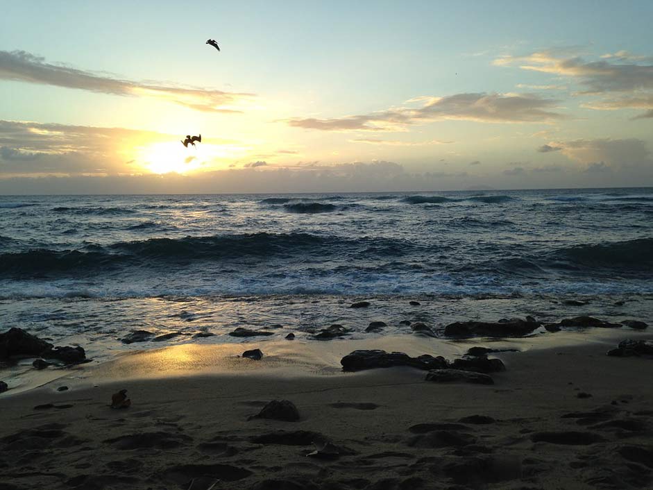 Birds Clouds Puerto-Rico Beach