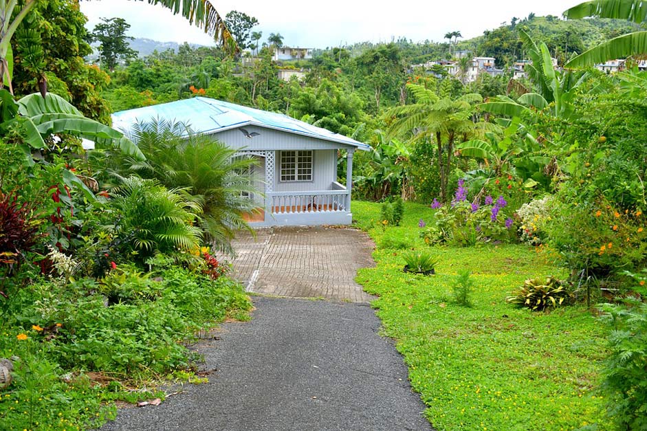 Pathway Garden Green House