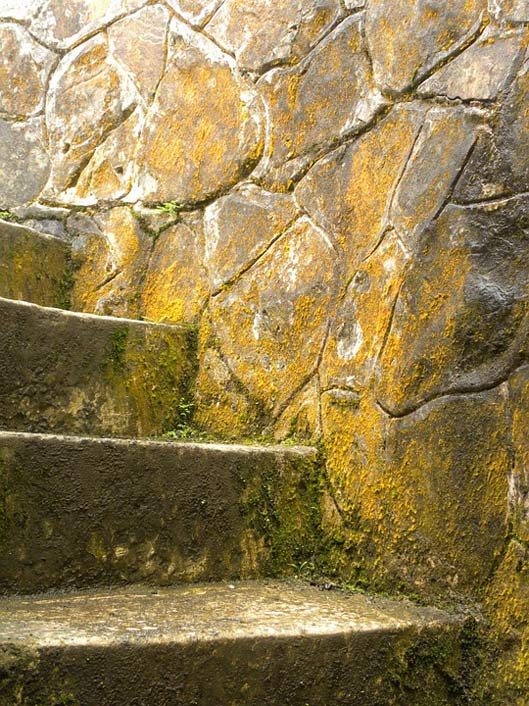 Moss Age Stone Stairs