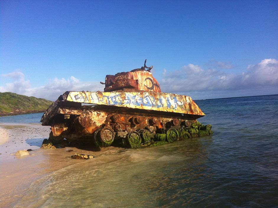 Snake Puerto-Rico Beach Tank