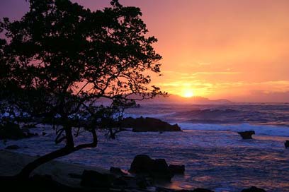 Sunset Ocean Rico Puerto Picture