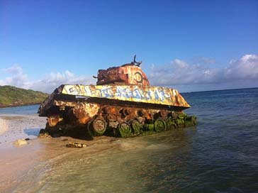Tank Snake Puerto-Rico Beach Picture