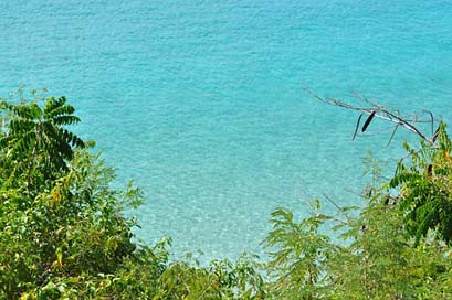 Turquoise Palms Puerto-Rico Water Picture