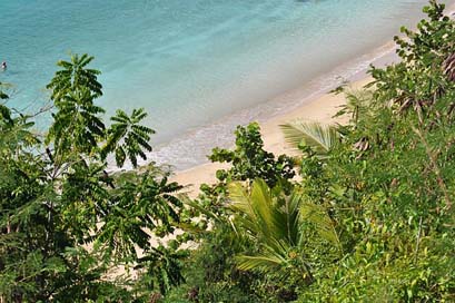 Turquoise Palms Puerto-Rico Water Picture