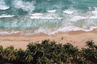 Tropical Ocean Waves Beach Picture
