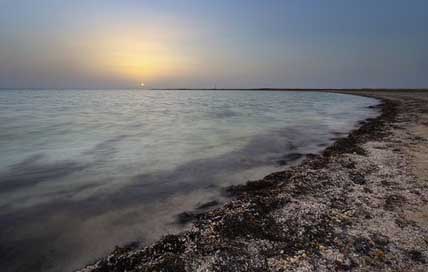 Seascape Gulf Qatar Doha Picture