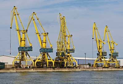 Romania  Cranes-From-Eberswalde Bank-Of-The-Danube Picture
