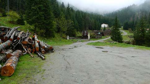 The-Transfagarasan Nature Forest Mountains Picture