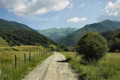 Romania Forest Mountains Landscape Picture