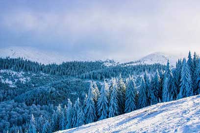 Romania Mountains Scenic Landscape Picture