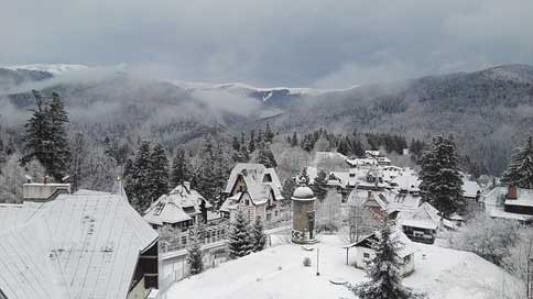 Romania Mountains Morning Sinaia Picture