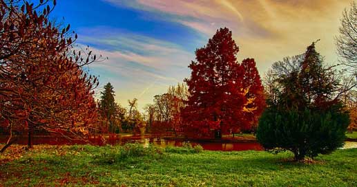 Romania Landscape Clouds Sky Picture