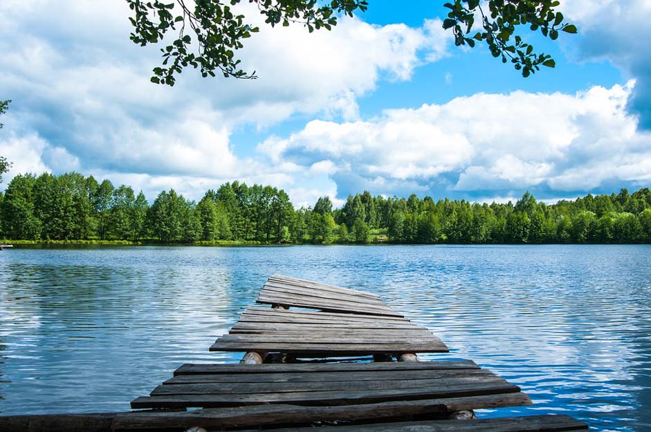 Forest Lake Water Nature