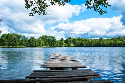 Nature Forest Lake Water Picture