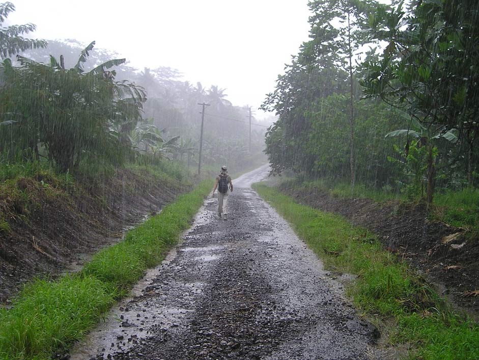 Exotic Samoa Rainy-Season Downpour